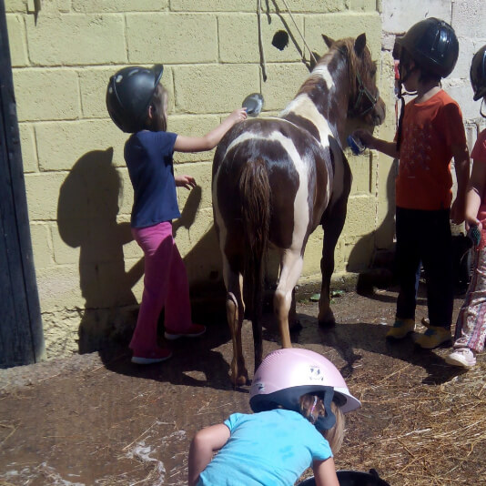niños de campamento jugando con un pony